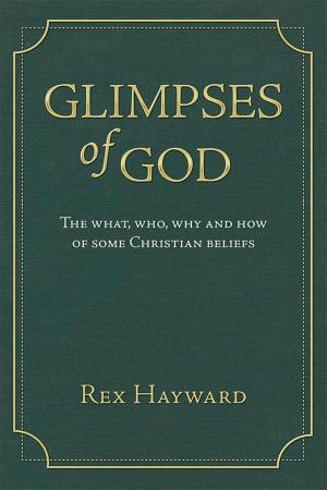 Cover of the book Glimpses of God by Valerie Barnes