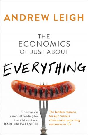 Cover of the book The Economics of Just About Everything by Tony Schirato, Mary Roberts