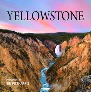 Cover of the book Yellowstone by Garry Hamilton, Norbert Rosing