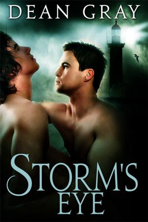 Cover of the book Storm's Eye by Keiko Alvarez