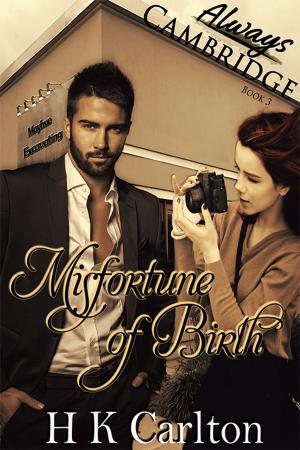 Cover of the book Misfortune of Birth by Rebecca Brochu