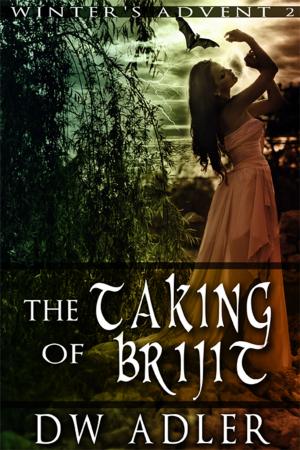 Cover of the book The Taking of Brijit by C.C. Williams