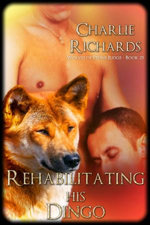 Cover of the book Rehabilitating His Dingo by L.J. Collins