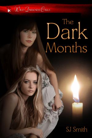 Cover of the book The Dark Months by Christina Weigand