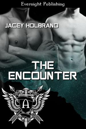 Cover of the book The Encounter by Larissa Vine