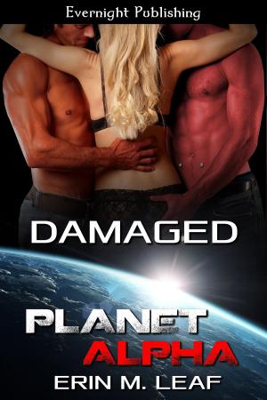 Cover of the book Damaged by Lee Ann Sontheimer Murphy