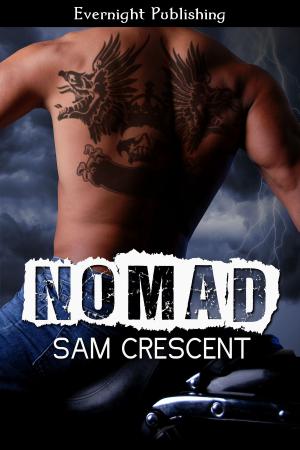 Cover of the book Nomad by LeTeisha Newton, Olivia Linden