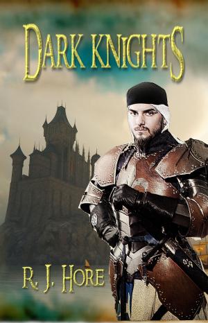Cover of the book Dark Knights by J. S. Marlo