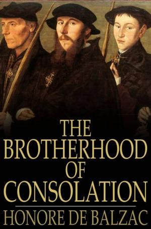 Book cover of The Brotherhood of Consolation