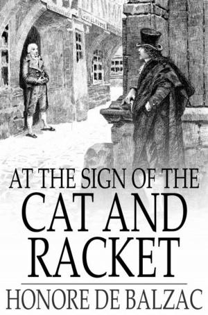 Cover of the book At the Sign of the Cat and Racket by James Willard Schultz