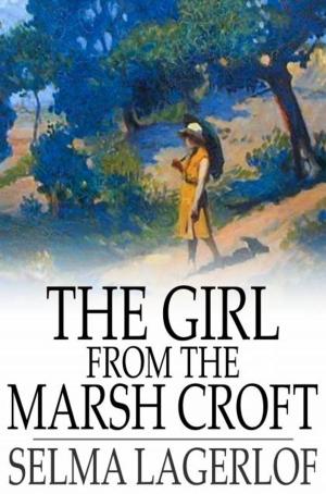 Cover of the book The Girl From the Marsh Croft by Poul Anderson