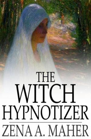 Cover of the book The Witch Hypnotizer by H. G. Wells