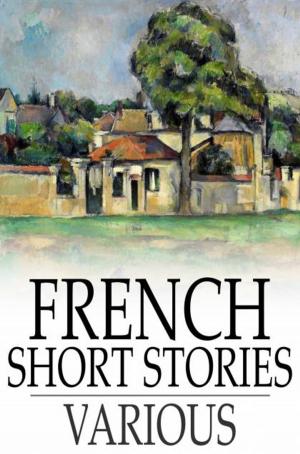 Cover of the book French Short Stories by James Bryce