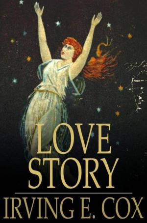 Cover of the book Love Story by Edith Van Dyne