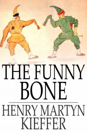 Cover of the book The Funny Bone by Elaine Ambrose