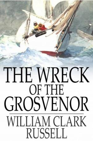 Cover of the book The Wreck of the Grosvenor by Edith Van Dyne