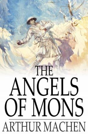 Book cover of The Angels of Mons