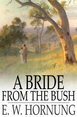 Cover of the book A Bride from the Bush by Maurice Leblanc