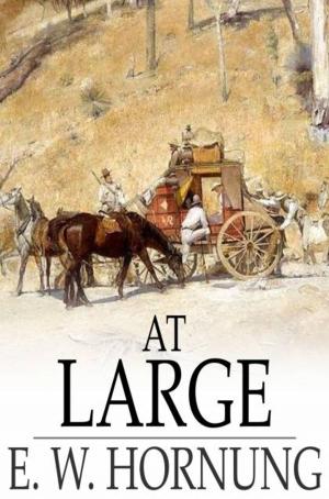 Cover of the book At Large by Arthur Christopher Benson
