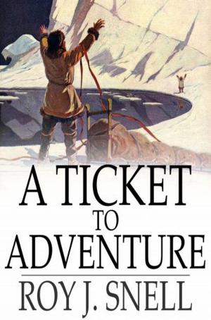 Book cover of A Ticket to Adventure