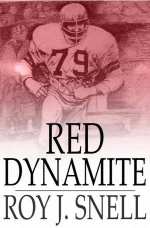 Cover of the book Red Dynamite by E. Nesbit