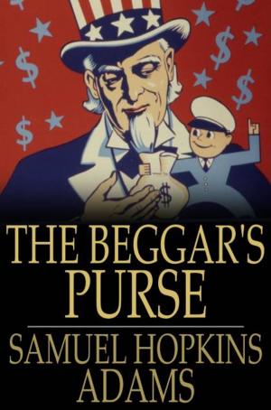 Cover of the book The Beggar's Purse by Mary F. Waterbury
