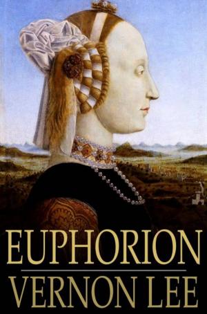 Cover of the book Euphorion by Poul Anderson