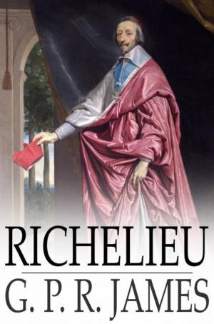 Cover of the book Richelieu by Amanda Minnie Douglas