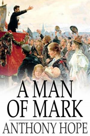 Cover of the book A Man of Mark by Eleanor Hallowell Abbott