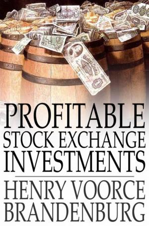 Cover of the book Profitable Stock Exchange Investments by Charles King