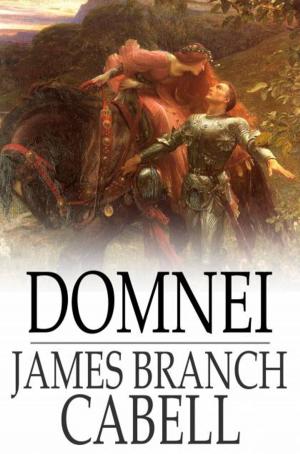 Cover of the book Domnei by Anthony Hope