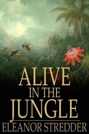 Cover of the book Alive in the Jungle by James Oliver Curwood