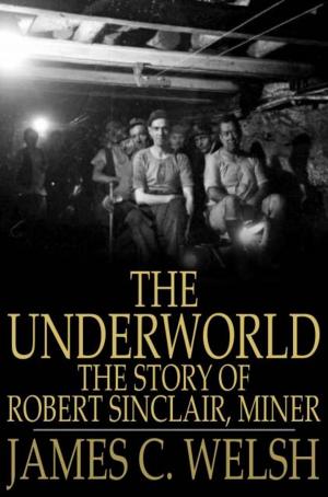 Cover of the book The Underworld by Amanda Minnie Douglas