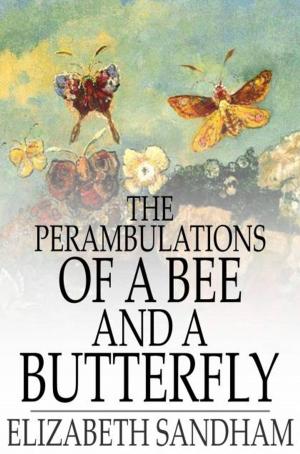 Cover of the book The Perambulations of a Bee and a Butterfly by William Congreve