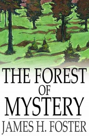 Cover of the book The Forest of Mystery by Winston Churchill