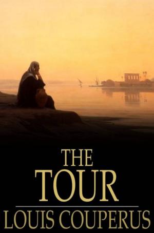 Cover of the book The Tour by Richard Denning