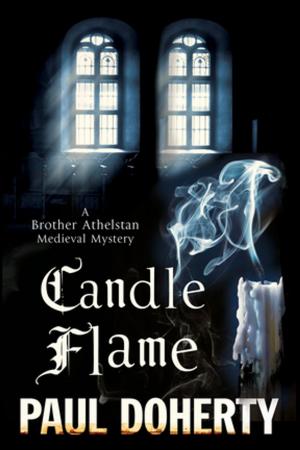 bigCover of the book Candle Flame by 