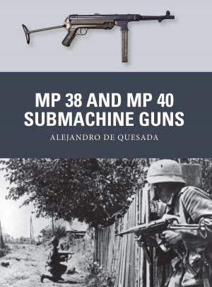 Book cover of MP 38 and MP 40 Submachine Guns