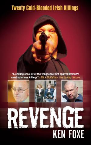 Cover of the book Revenge by Eoin Macken