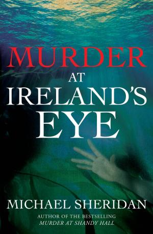 Cover of the book Murder at Ireland's Eye by Jackie Burke