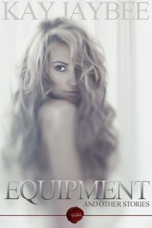 Cover of the book Equipment by Lynne Graham