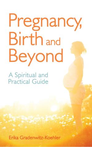bigCover of the book Pregnancy, Birth and Beyond by 