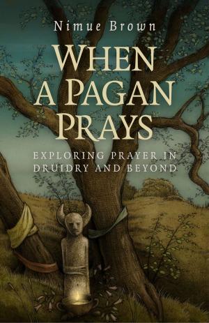 Cover of the book When a Pagan Prays by Mark Townsend