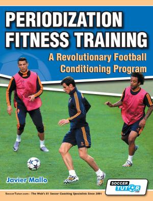 Cover of the book Periodization Fitness Training by Michail Tsokaktsidis
