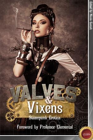 Cover of the book Valves & Vixens by Jayantika Ganguly