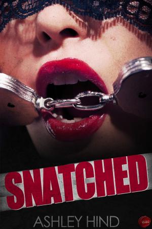 Cover of the book Snatched by Linda Pound