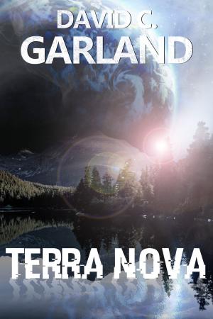 Cover of the book Terra Nova by Rachel Sparks Linfield