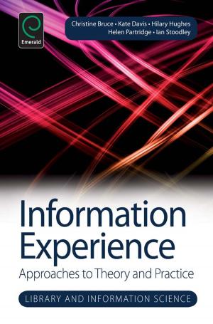Cover of the book Information Experience by Dennis Jancsary, Thibault Daudigeos, Markus A. Höllerer