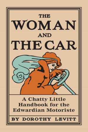 Cover of the book The Woman and the Car by Mike Guardia