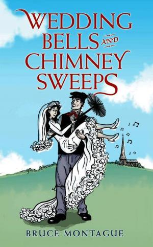 Book cover of Wedding Bells and Chimney Sweeps
